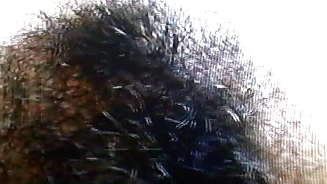 Muchas chicas porno hentai latino y pollas gordas